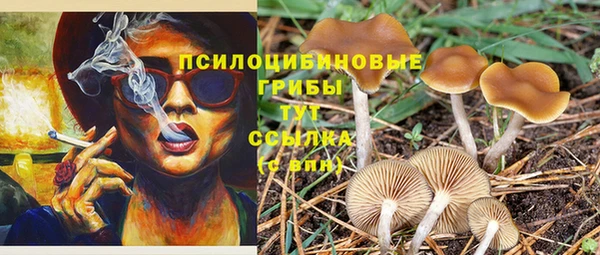 мескалин Вяземский